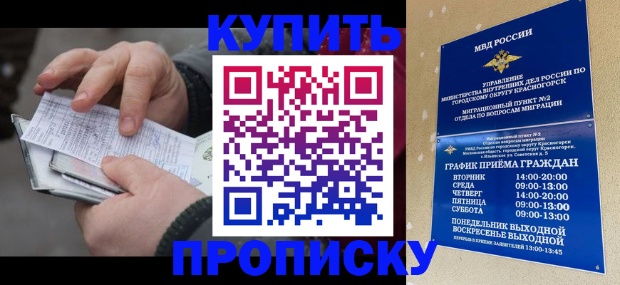 временная регистрация недорого в Почепе
